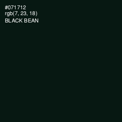 #071712 - Black Bean Color Image